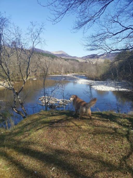 Riverside Lodge In Killiecrankie Bridge of Tilt ภายนอก รูปภาพ