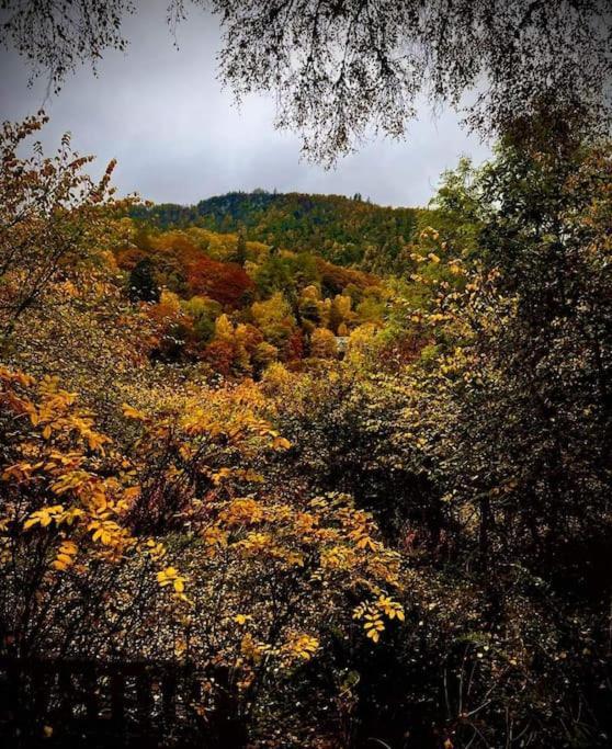 Riverside Lodge In Killiecrankie Bridge of Tilt ภายนอก รูปภาพ